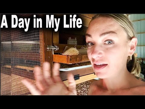 A Day in the Life | Christina Randall | Catch & Clean | Fishing, Cooking, Animals, & Homesteading