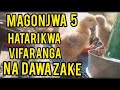 Magonjwa 5 Hatari Kwa Vifaranga Na Dawa Zake 5 Dangerous Diseases In Chicks And Their Medicines