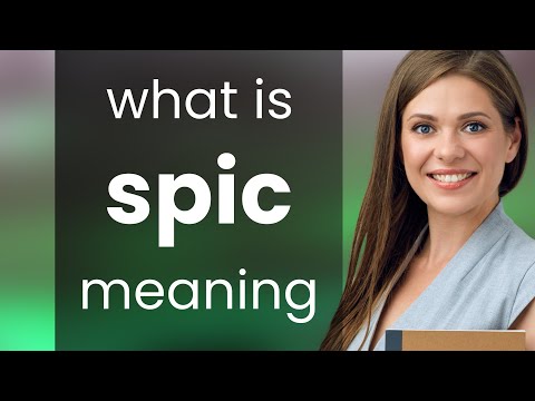 Spic • what is SPIC definition