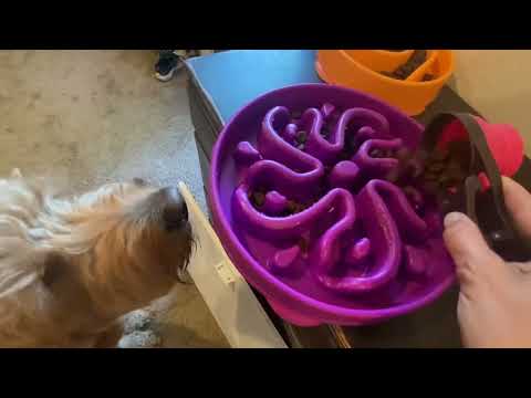 ACANA Singles Limited Ingredient Dry Dog Food, Duck & Pear Recipe AMAZON REVIEW