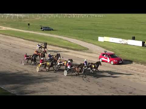 Trka "Avgust 1994" 13.10.2019 Ramon Starlight - Miodrag Pantić