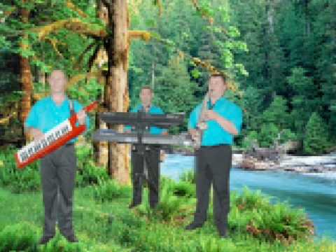 Formatia UNIVERS Din Bacau,LIVE Coragheste