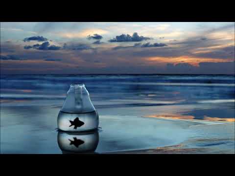 Kiasmos -- Aparde -- pølaroit -- Christian Löffler -- Martin Roth -- Brian Cid -- Kalipo