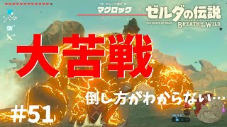 マグロック初見で挑むと倒し方がわからない【ゼルダの伝説ブレスオブザワイルド女性実況】～今日もゼルダを救えない#51