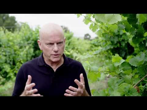 Grosset Wines