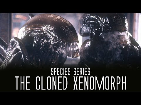 The Clone Xenomorph - Species Series