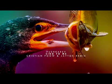 Best of Cristian Poow 2020 🎵 Deep House, Nu Disco, House & Synthwave 🎉 Mixtape