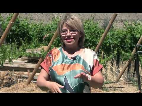 La senda del vino Temporada 4 capitulo 3