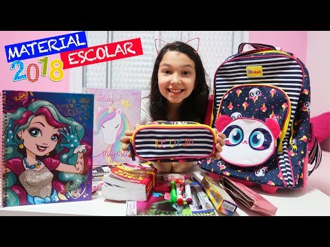 ORGANIZANDO MEU MATERIAL ESCOLAR 2018 | Luluca
