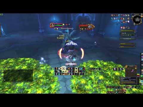 Twisting Corridor Layer 8: Floor 18 Enhancement Shaman vs Custodian Thonar
