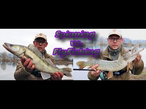 Spinning vs  Mucha #traper