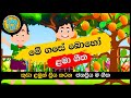 Me Gase Boho මේ ගසේ බොහෝ සිංහල ළමා ගීත Sinhala Lama Geetha S