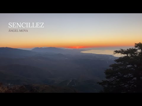 Play Video Youtube Video