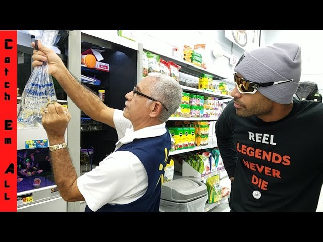 Buying ALL THE FISH in WALMART LOL!