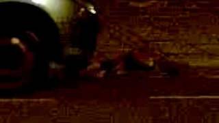 Mad foxes twisting and fighting