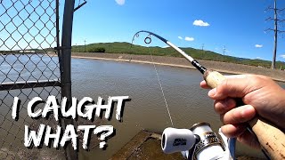 Not A Striper? Delta Mendota Canal | CA Aqueduct Fishing | Iu Mien Fishing