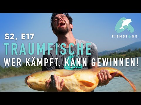 S2E17   Krönender Abschluss   FISHSTONE's Angelwelten