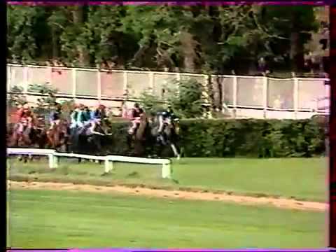 98. Velká pardubická steeplechase - 1988
