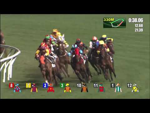 24/2/2021 (455) Harmony Fire - Vincent Ho