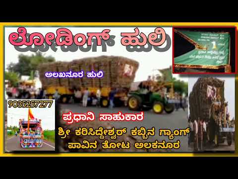 Tindi song loading huli Alakanur huli ✨