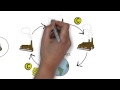 How Carbon Credits Work In Less Than 2 Minutes Qiewie