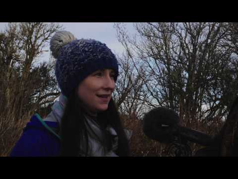 Thumbnail for Folk on Foot: Julie Fowlis on the Shores of Loch Ness by Julie Fowlis