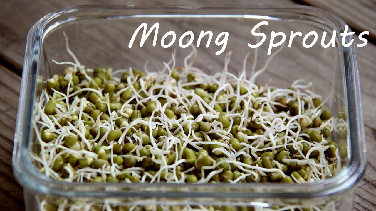 How to Sprout Moong (Mung) Beans At Home | Easy Kitchen Tips and Recipes By Shilpi