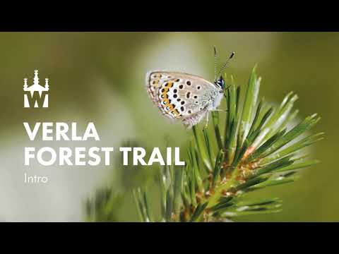 Verla Forest Trail - Welcome