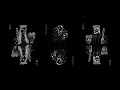 Bayadis Manal Shaw NGHAMER Visualizer