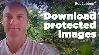 Download Protected Images from Browser when Right-Click "Save image As" is Disabled