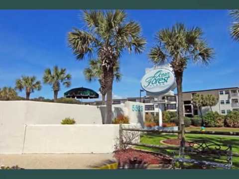 Ocean Forest Plaza By Palmetto Vacations |Hotel Pics In California Myrtle - Rank 2 / 5