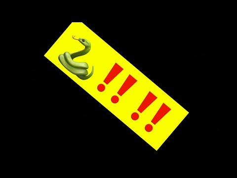 100k track🐍 called out on live by YWM friend JGreen, says Melly only got one check