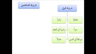 صورة فقه الأسرة (10) شروط الولي - عامر بهجت - التأهيل الفقهي