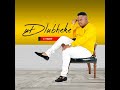 UDlubheke Ungayidelela Yonke