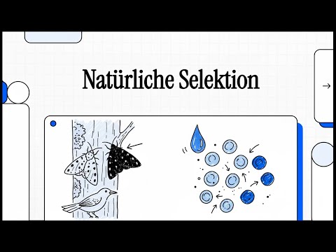 Natürliche Selektion | EINFACH ERKLÄRT