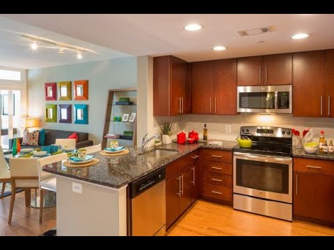 Take a Video Tour of Our Tenley (1B) Apartment