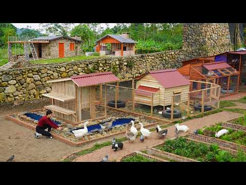 Building a Smart Goose Coop From Wood & Mesh –Growing a Farm Full of Geese, Rabbits & Poultry