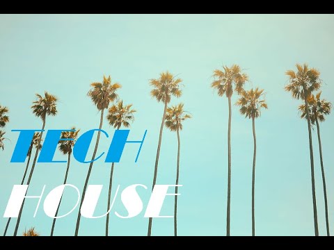 Tech House | 2021 | #17 (Armand Van Helden,Nari & Milani,Martin Ikin)