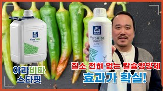 질소없는 천연칼슘 엽면시비 영양제 야라비타 스타핏 | 침투, 확산, 전착성분 모두 포함! | 농사 100단