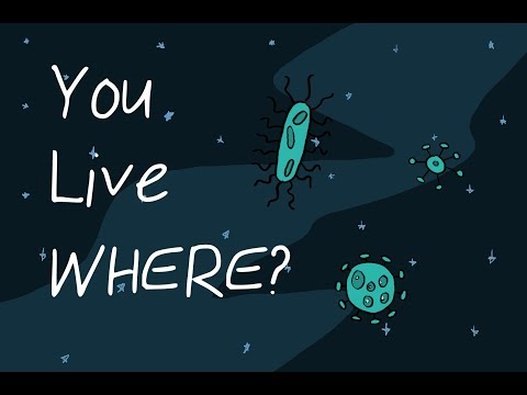 Extremophiles: Crazy Animals You've Never Heard Of