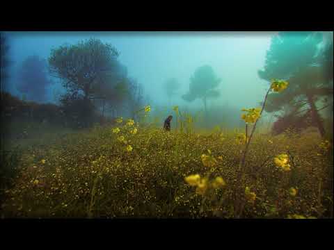 Albéric Magnard | Symphony No.3