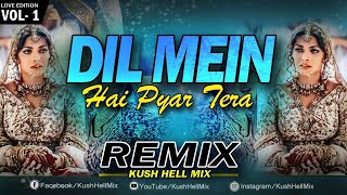 Download lagu Dil mein hai pyar tera Hoton pe | Remix | Kush Hell Mix | Udit Narayan | Alka Yagnik | Sunny Deol mp3 Download lagu Dil mein hai pyar tera Hoton pe | Remix | Kush Hell Mix | Udit Narayan | Alka Yagnik | Sunny Deol mp3