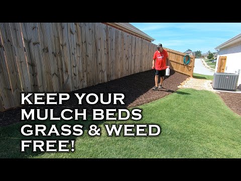 Easily get and keep your mulch beds grass & weed free by following these 3 tips!
