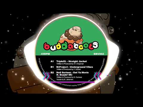 BBV002 - BuddaBeats 2 - Preview Compilation Video