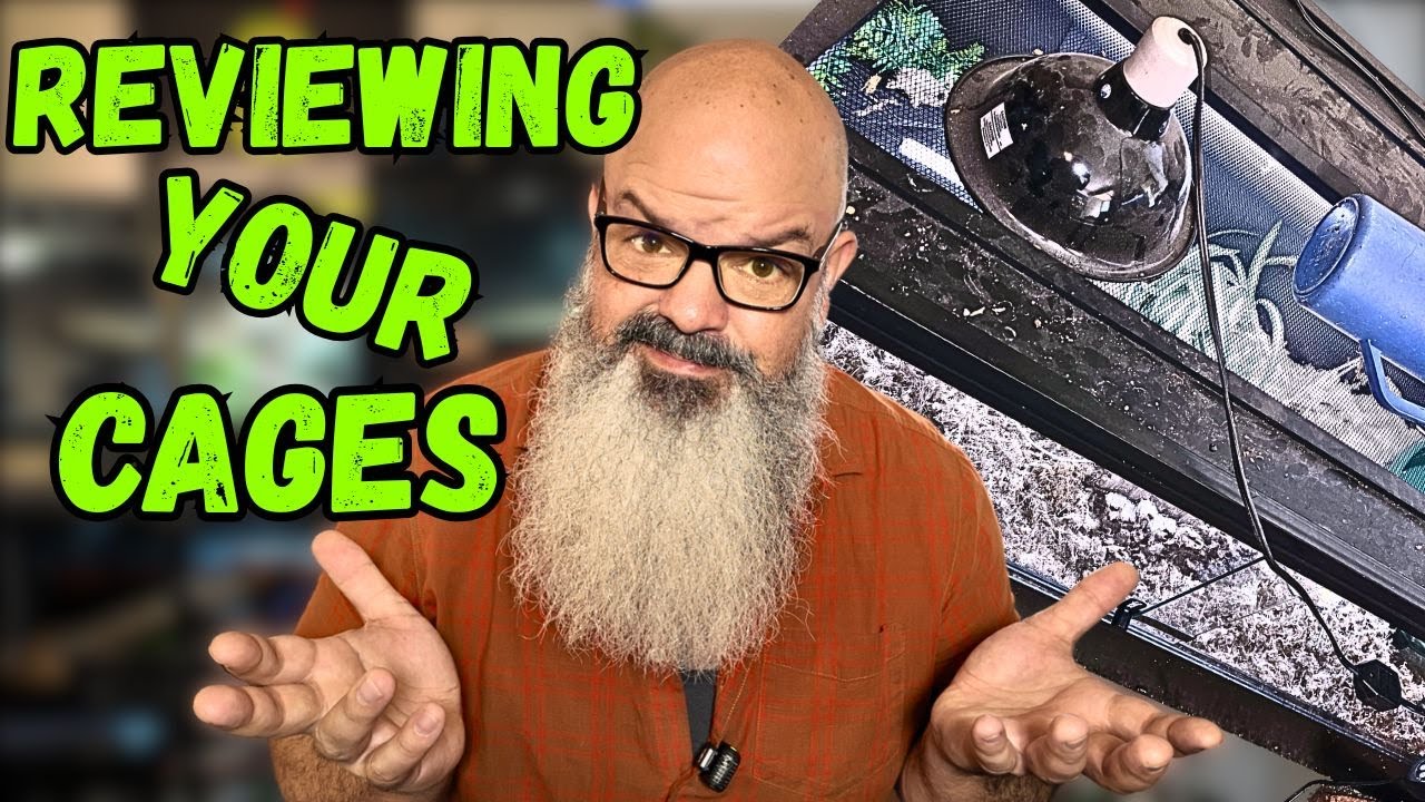 Reviewing Your Snake Setups!