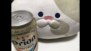 初心者ギター練習垂れ流す、以上
