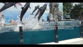 preview picture of video 'Dolphin Show Safari World Marine Park Bangkok Thailand Day Trip 2018 (Safari World Bangkok)'