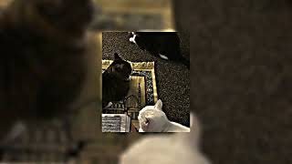 Download lagu barakallah by maher zain (sped up) vocals only mp3 Download lagu barakallah by maher zain (sped up) vocals only mp3