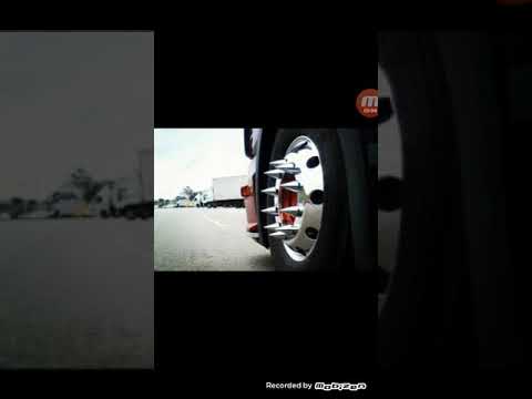 Yuri BH  E samurai  jack