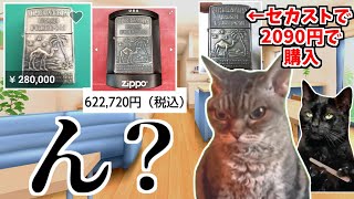 島根県松江市のセカストでお宝探しをした結果…？【猫ミーム】
